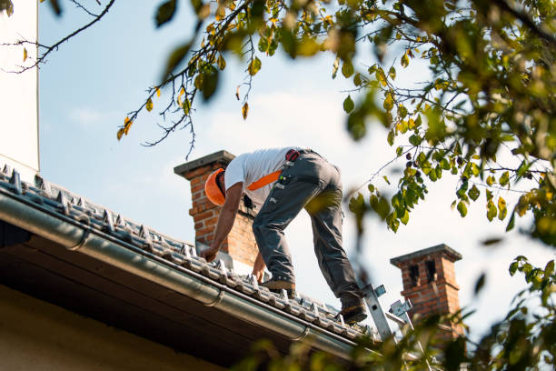 Best New Roof Installation  in Cecilia, LA