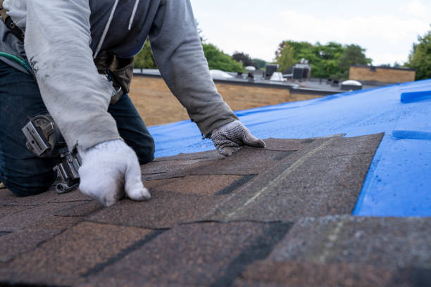 Roof Gutter Cleaning in Cecilia, LA